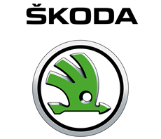 Мужская бейсболка с авто-логотипом Skoda Motorsport